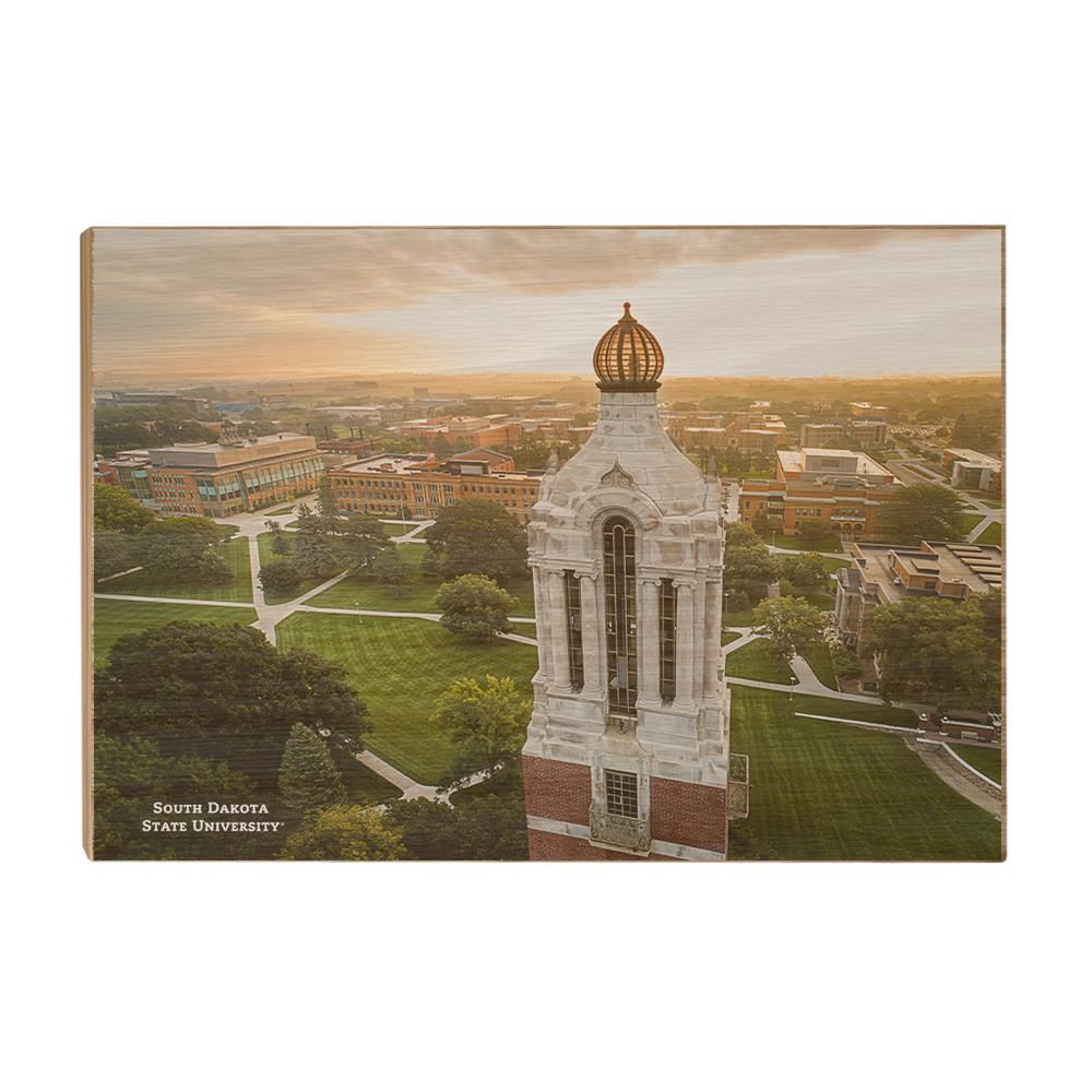 South Dakota State Jackrabbits - South Dakota State University - College Wall Art #Canvas