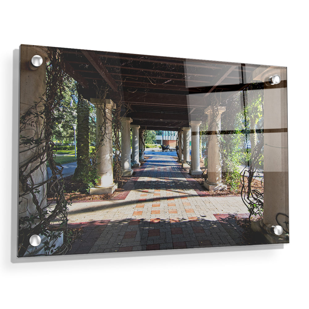USF Bulls - The Trestle - College Wall Art #Canvas