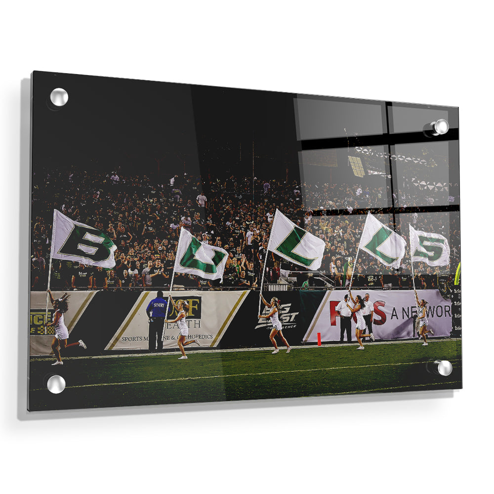 USF Bulls - Bulls Flags - College Wall Art #Canvas