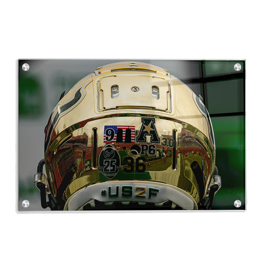 USF Bulls - #US2F - College Wall Art #Canvas