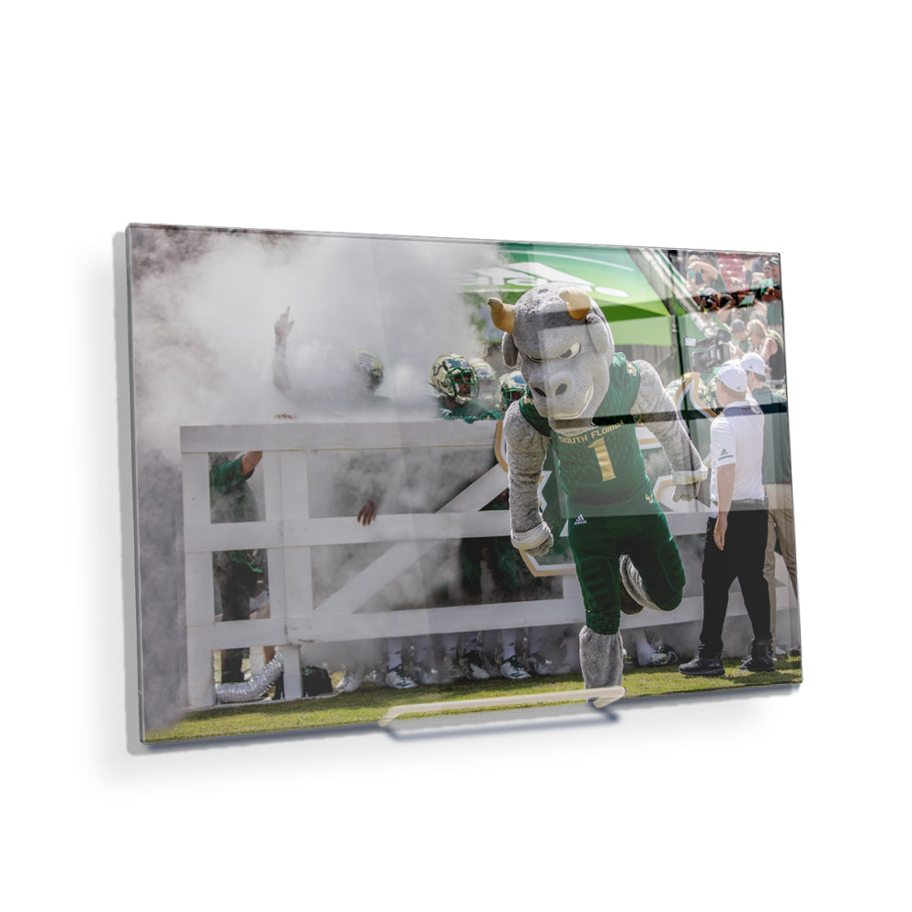 USF Bulls -Bulls Stampeed - College Wall Art #Canvas