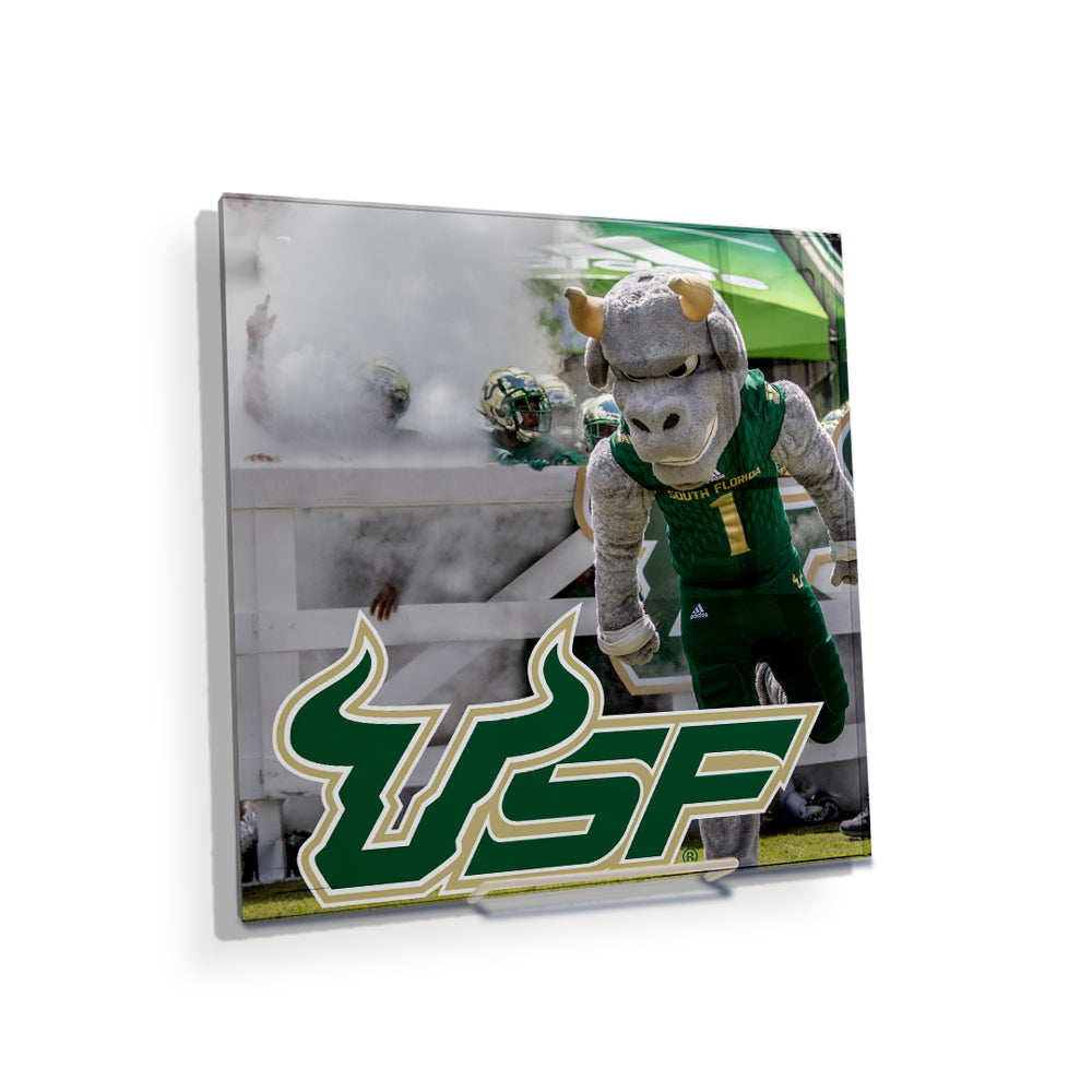 USF Bulls - USF Bulls Stampeed - College Wall Art #Canvas