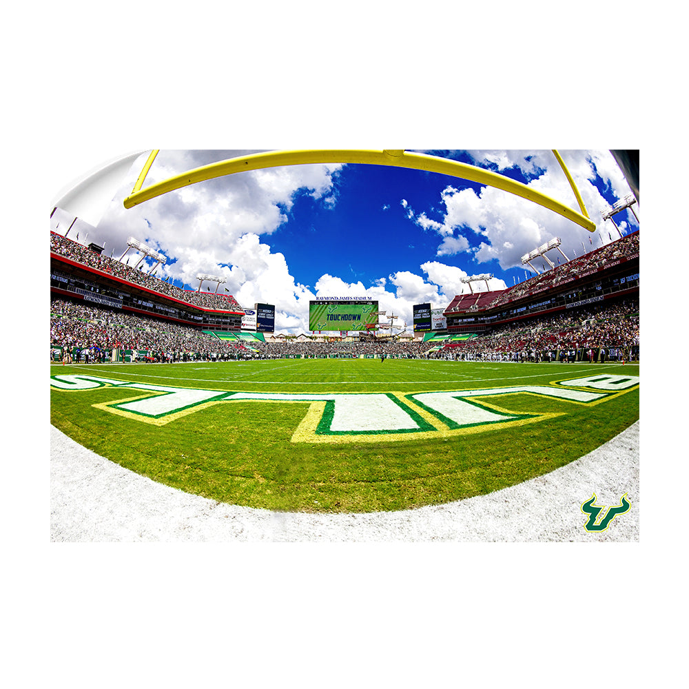USF Bulls - Bulls End Zone Touchdown - College Wall Art #Canvas
