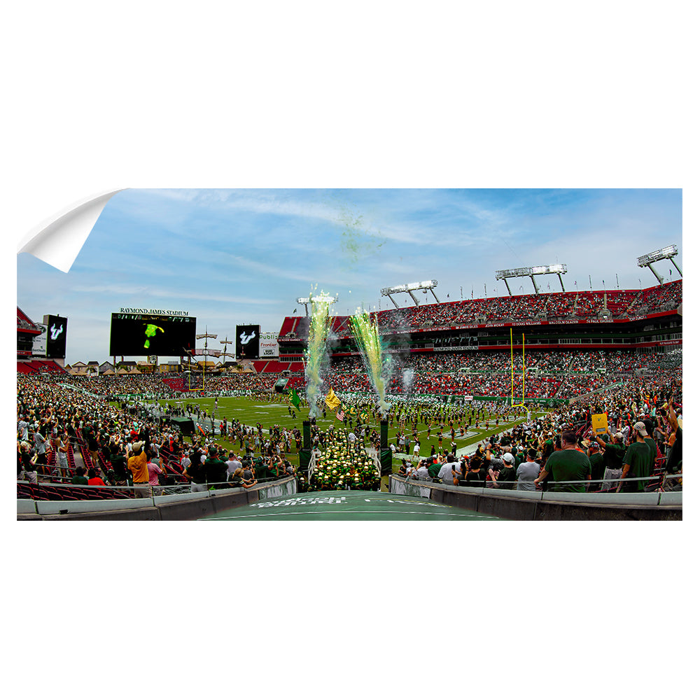 USF Bulls - Enter USF Bulls Panoramic - College Wall Art #Canvas