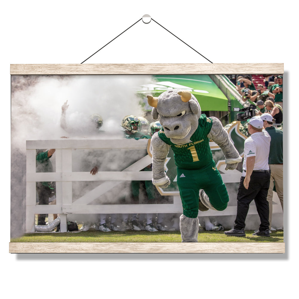 USF Bulls -Bulls Stampeed - College Wall Art #Canvas