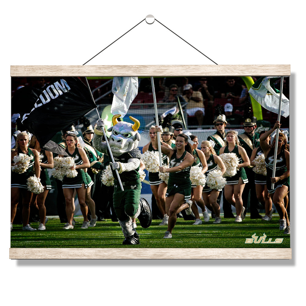 USF Bulls - Freedom -College Wall Art #Canvas
