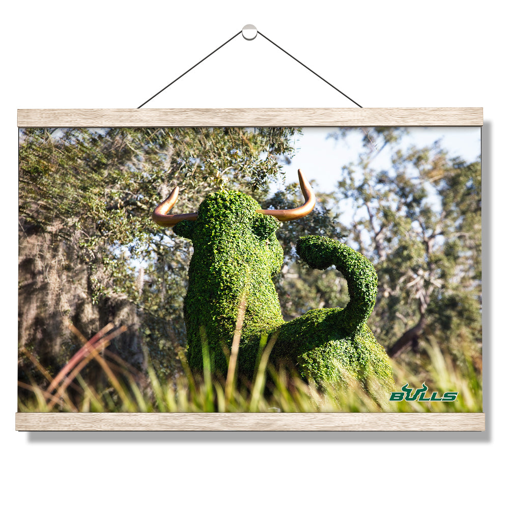 USF Bulls - Bull Watch - College Wall Art #Canvas
