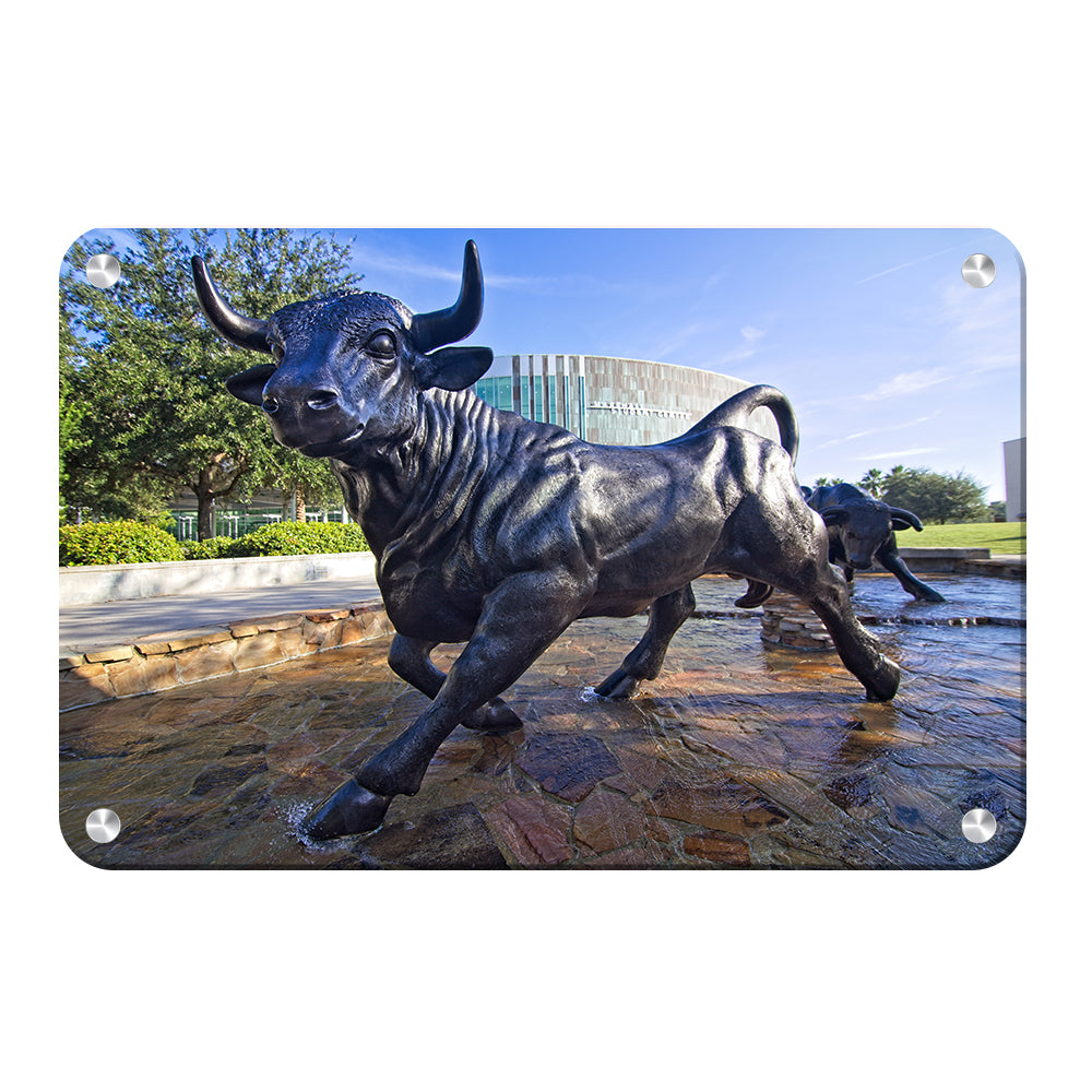 USF Bulls -Mashal Student Center - College Wall Art #Canvas 