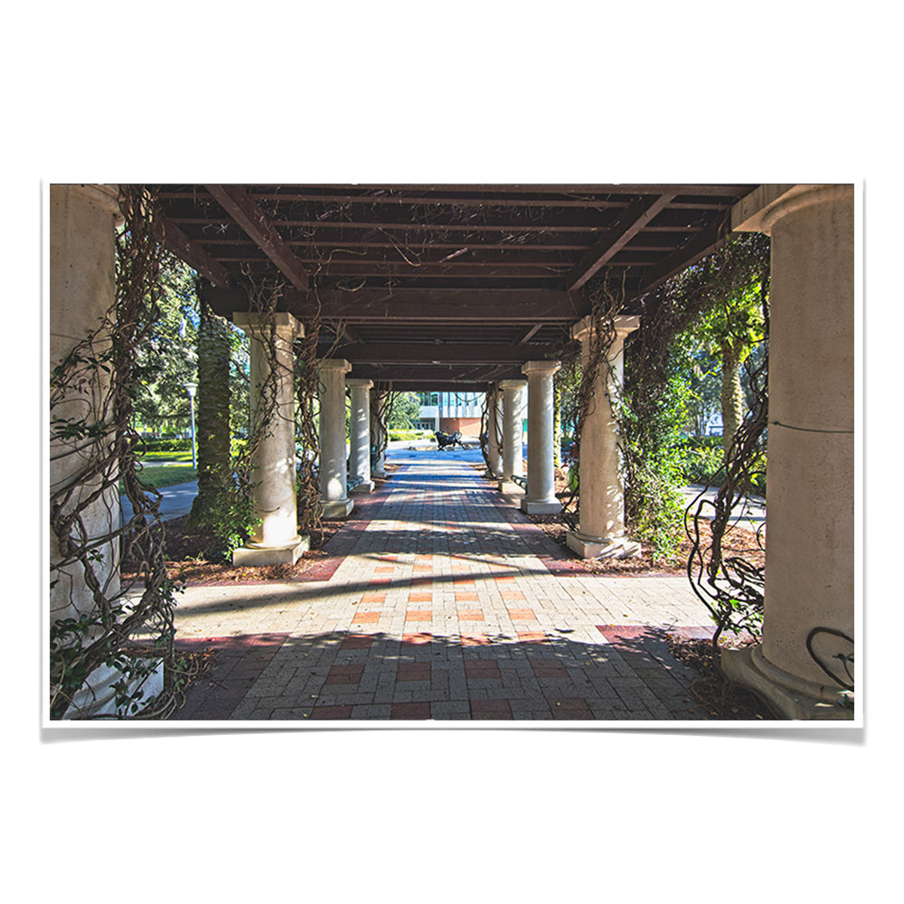USF Bulls - The Trestle - College Wall Art #Canvas