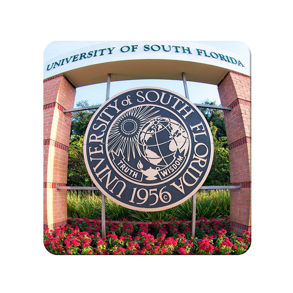 USF Bulls - University of South Florida - College Wall Art #canvas