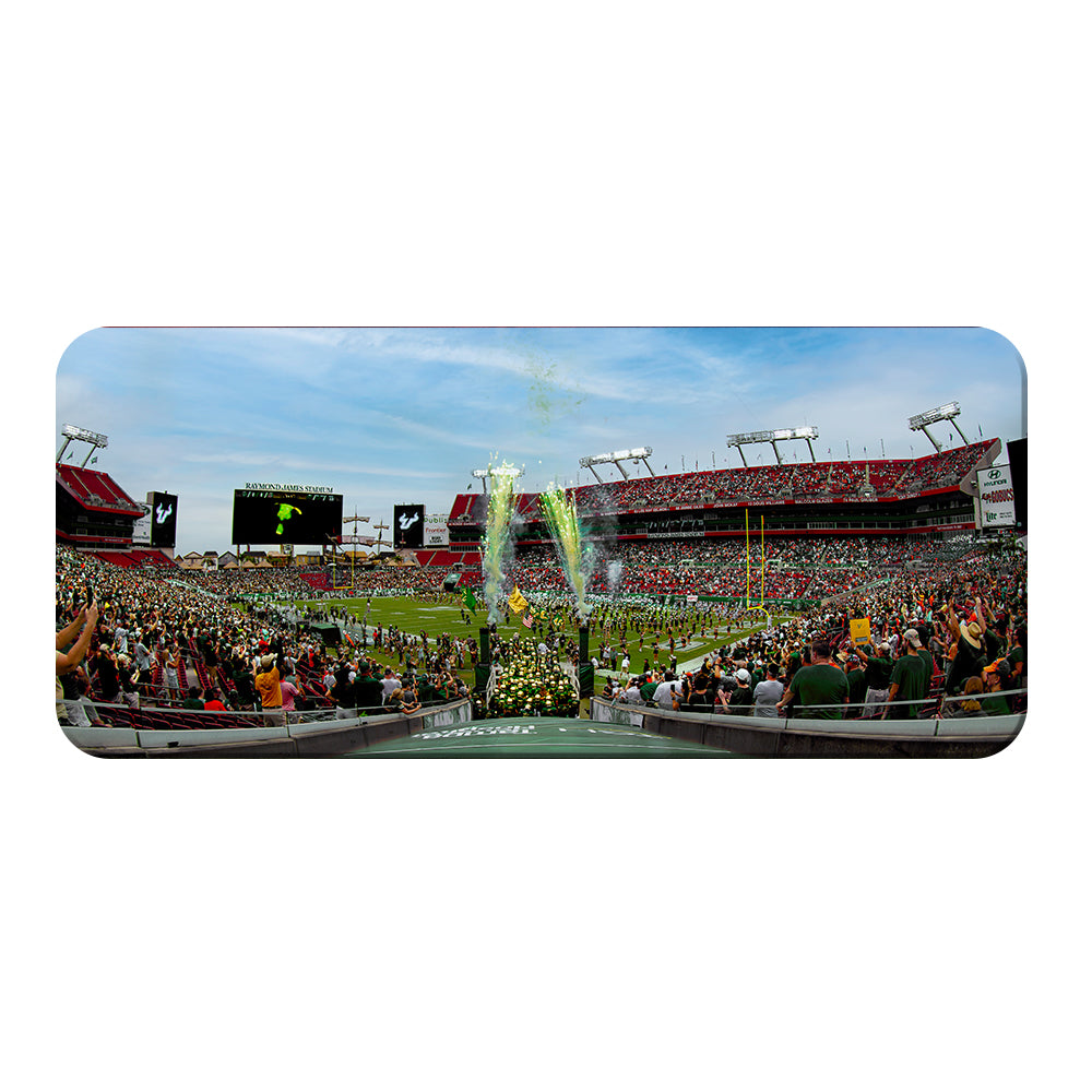 USF Bulls - Enter USF Bulls Panoramic - College Wall Art #Canvas