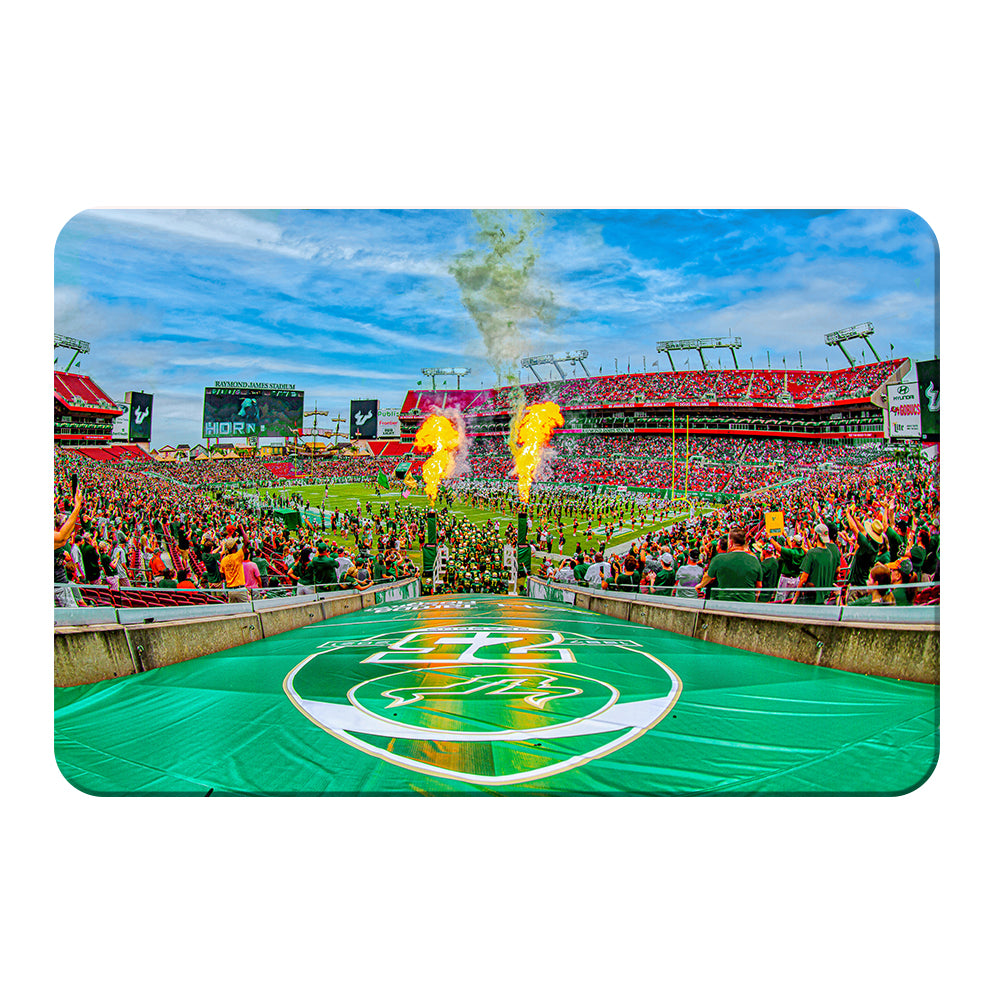 USF Bulls - Enter Bulls - College Wall Art  #Canvas