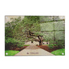 Texas A&M - Century Tree - College Wall Art - College Wall Art #Acrylic