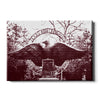 Texas A&M - Centenial Eagle -  College Wall Art #Canvas