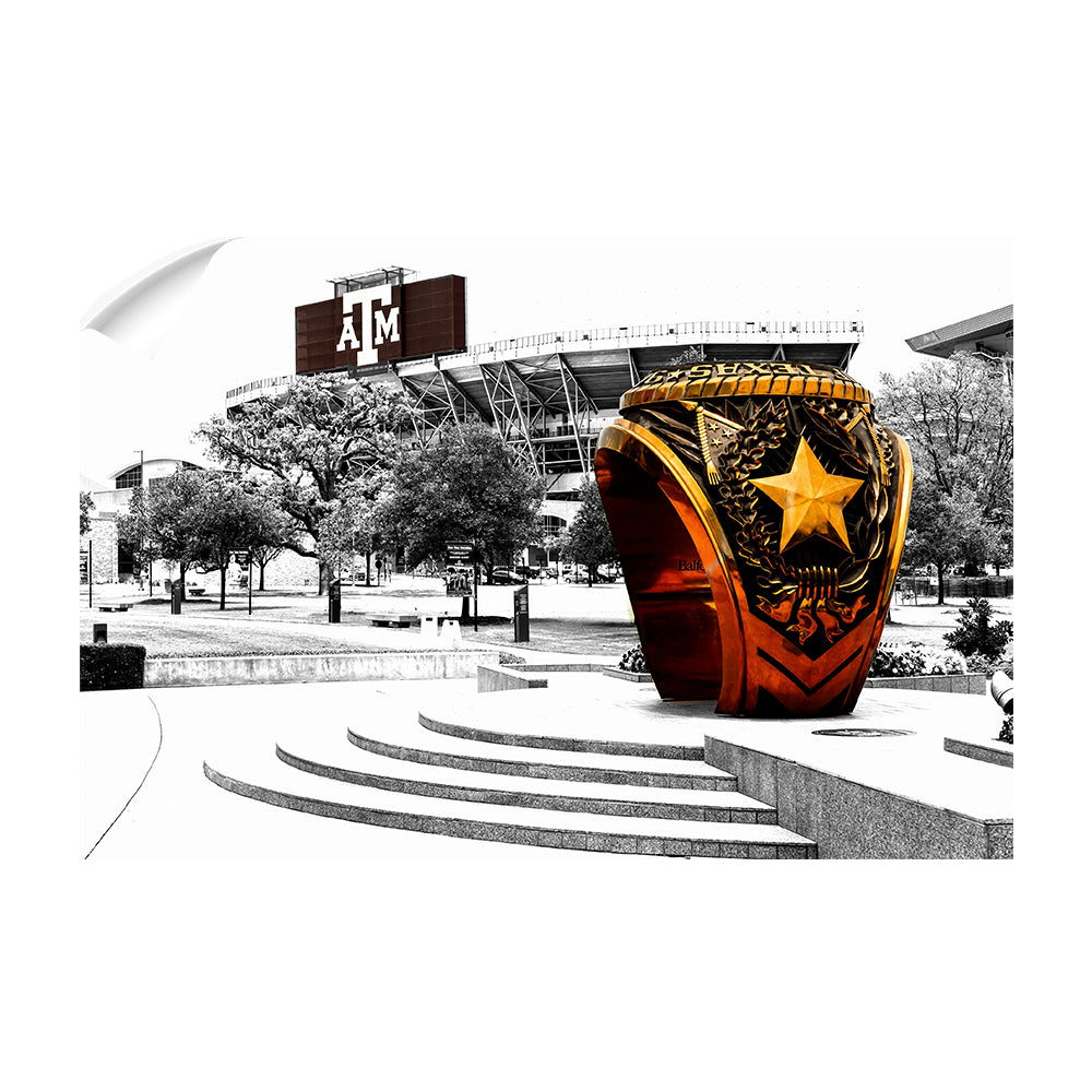 Texas A&M - Aggie Ring - College Wall Art #Canvas