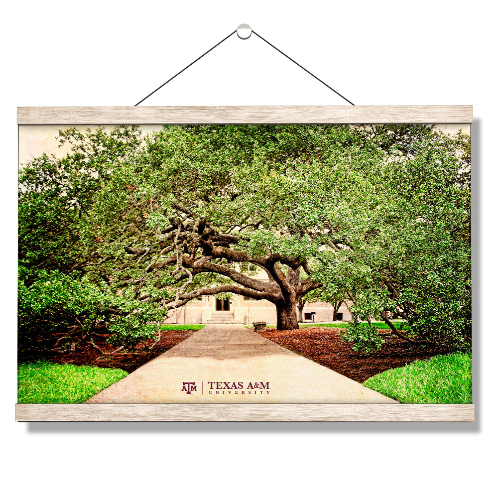Texas A&M - Century Tree - College Wall Art - College Wall Art #Canvas