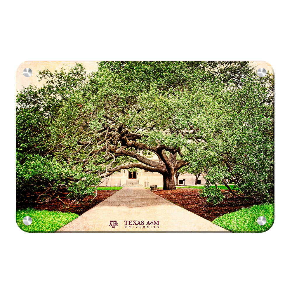Texas A&M - Century Tree - College Wall Art - College Wall Art #Canvas