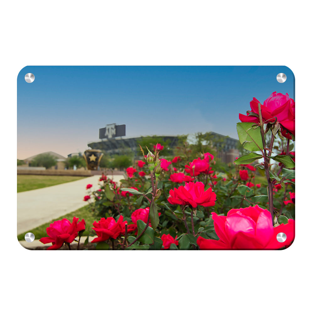 Texas A&M - Spring Flowers - College Wall Art #Canvas