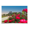 Texas A&M - Spring Flowers - College Wall Art #Wood