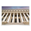 Texas A&M - Administration - College Wall Art #Poster