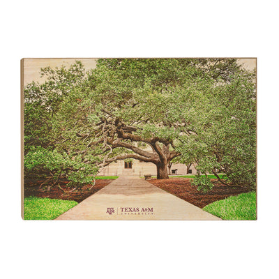 Texas A&M - Century Tree - College Wall Art - College Wall Art #WoodArt