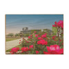 Texas A&M - Spring Flowers - College Wall Art #Wood