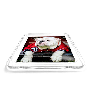 Georgia Bulldogs - Uga Chillin' Drink Coaster