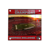 Georgia Bulldogs - Sanford Sunset National champions Georgia Bulldogs - College Wall Art #Acrylic