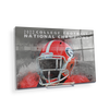 Georgia Bulldogs - 2022 College Football National Champions - College Wall Art #Acrylic Mini