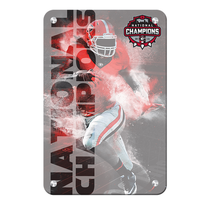 Georgia Bulldogs - National Champions - College Wall Art #Metal