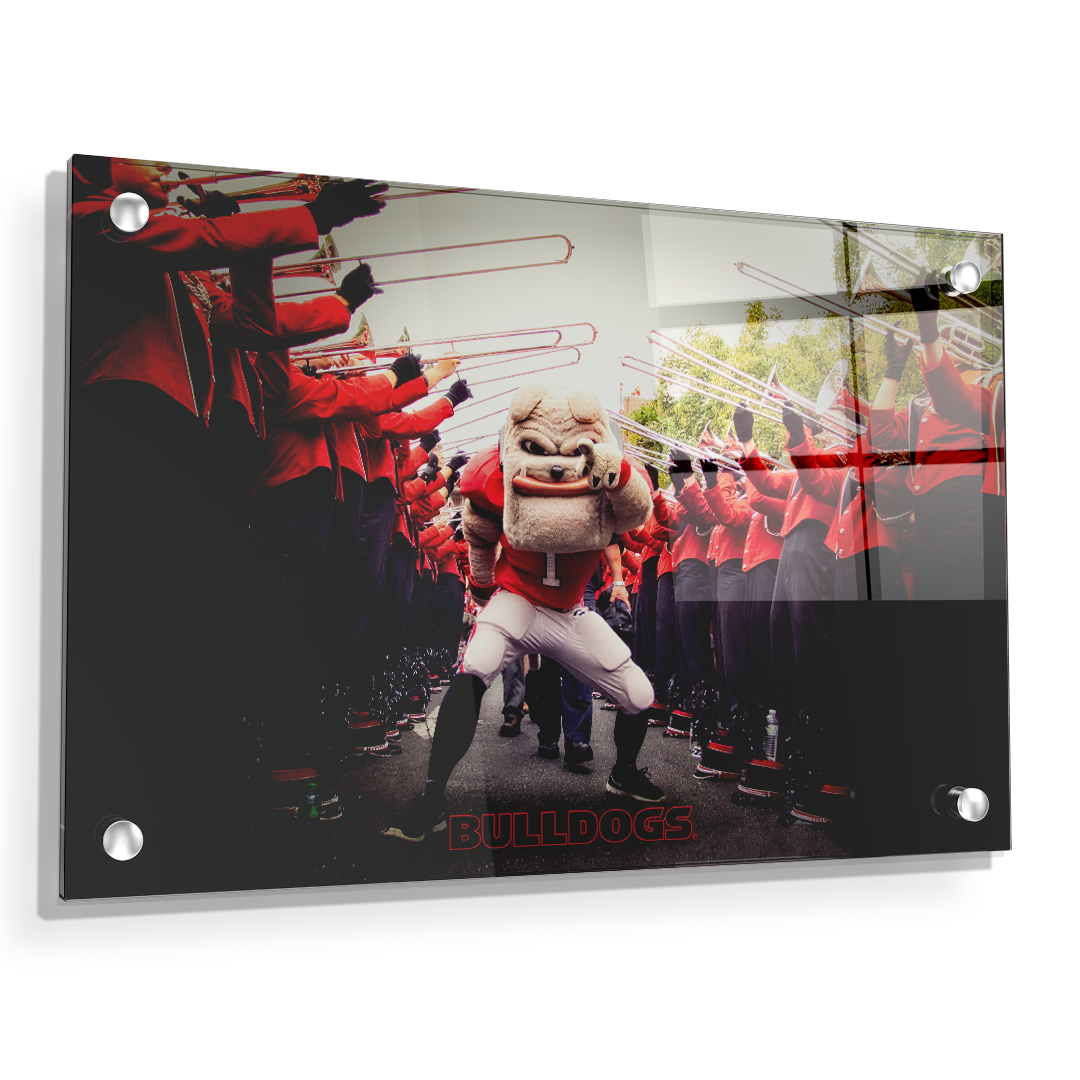 Georgia Bulldogs - Dawg Walk - College Wall Art #Canvas