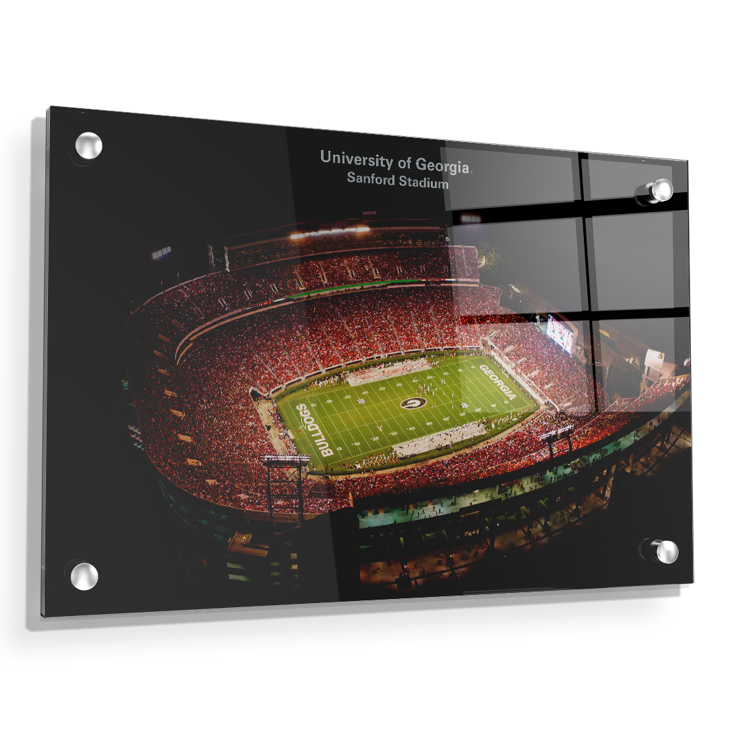 Georgia Bulldogs - University of Georgia Sanford Stadium - College Wall Art #Canvas