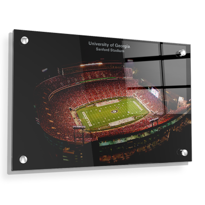 Georgia Bulldogs - University of Georgia Sanford Stadium - College Wall Art #Acrylic