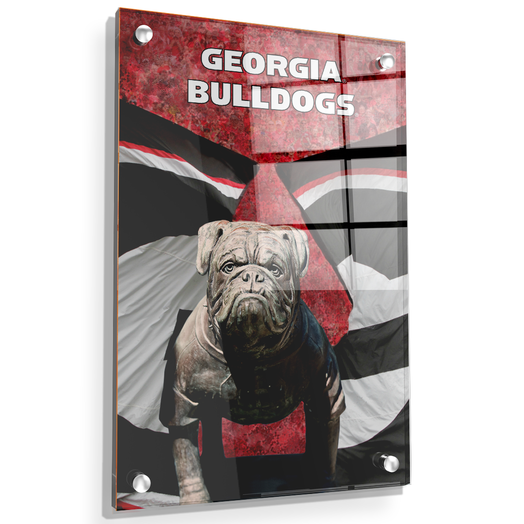 Georgia Bulldogs - Georgia Bulldogs - College Wall Art #Canvas