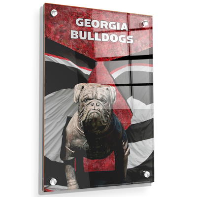 Georgia Bulldogs - Georgia Bulldogs - College Wall Art #Acrylic