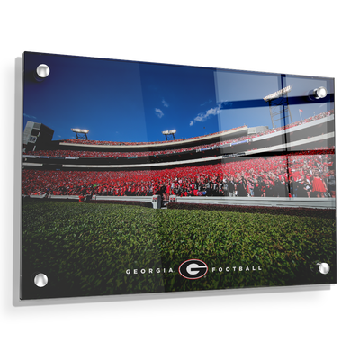 Georgia Bulldogs - Georgia Football - College Wall Art #Acrylic