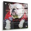 Georgia Bulldogs - Uga Chillin - College Wall Art #Acrylic