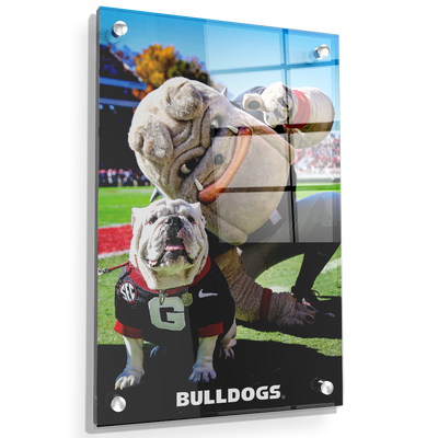 Georgia Bulldogs - Uga & Hairy the Dawg - College Wall Art #Acrylic