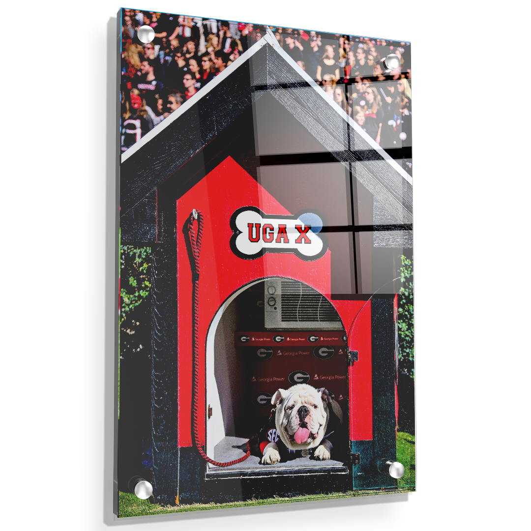 Georgia Bulldogs - Uga X in the House - College Wall Art #Canvas