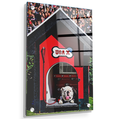 Georgia Bulldogs - Uga X in the House - College Wall Art #Acrylic