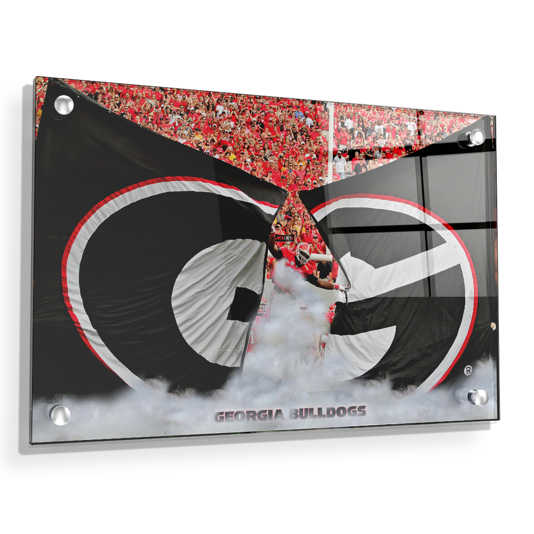 Georgia Bulldogs - Grand G Entrance - College Wall Art #Canvas