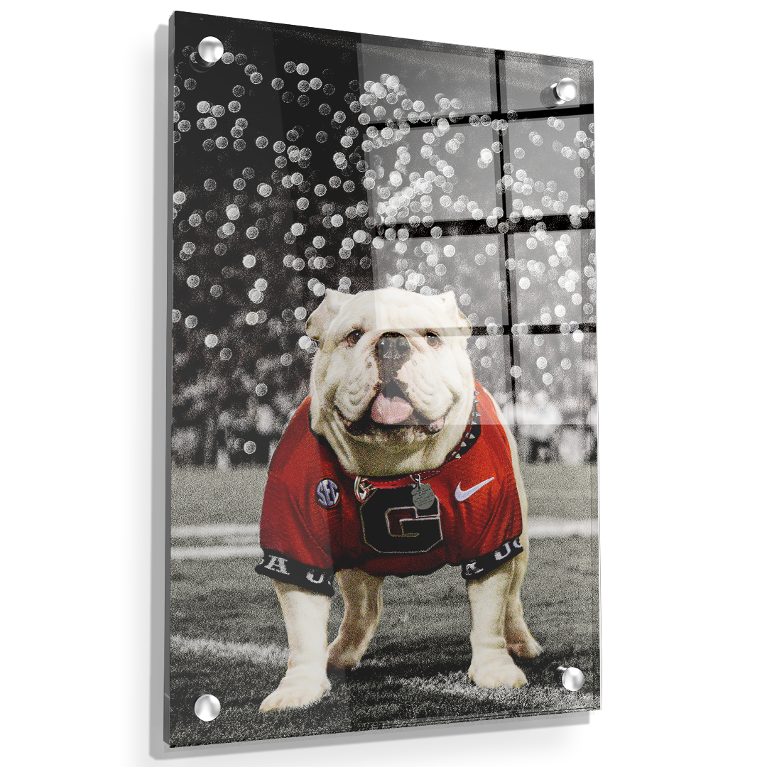 Georgia Bulldogs - Uga Under the Lights - College Wall Art #Acrylic