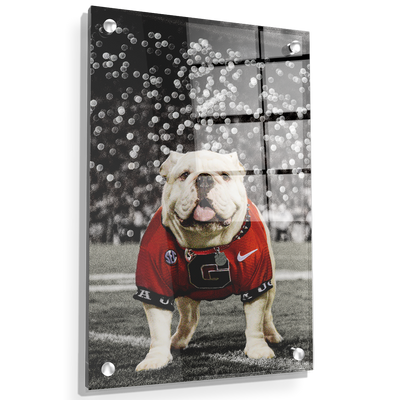 Georgia Bulldogs - Uga Under the Lights - College Wall Art #Acrylic