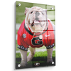 Georgia Bulldogs - Uga Poised II - College Wall Art #Acrylic