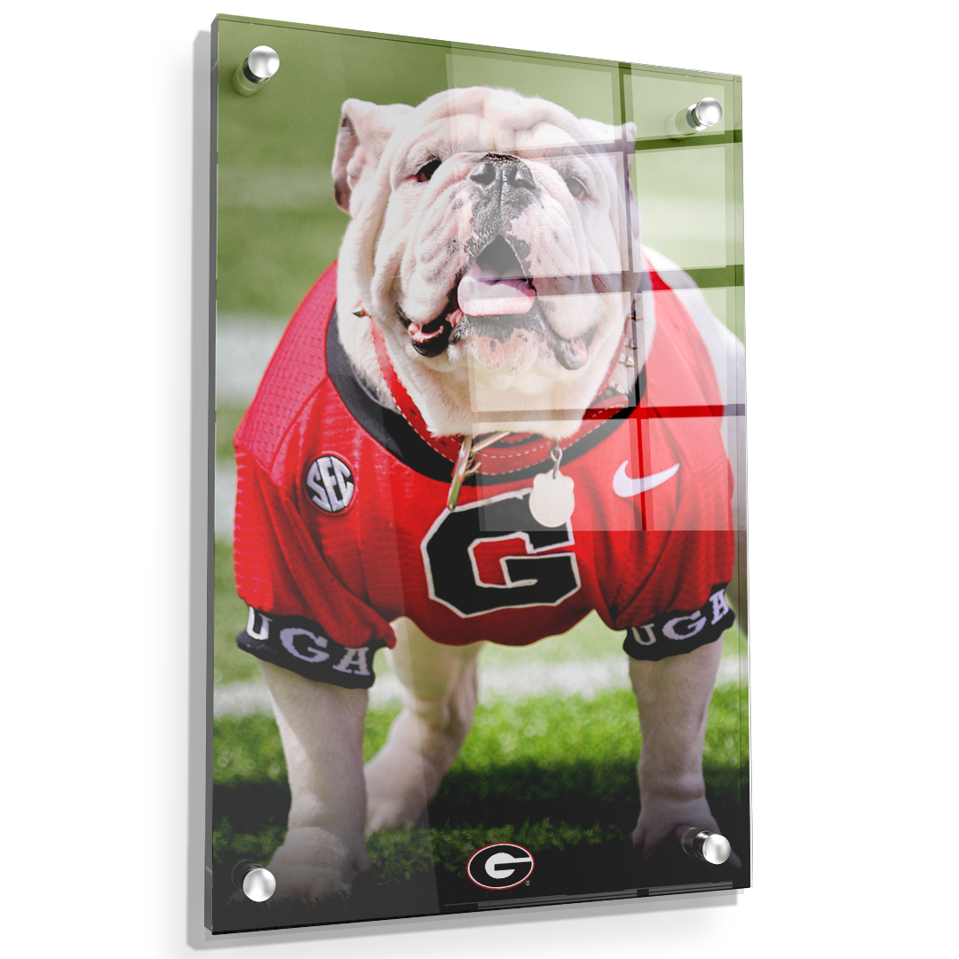 Georgia Bulldogs - Uga Poised II - College Wall Art #Canvas