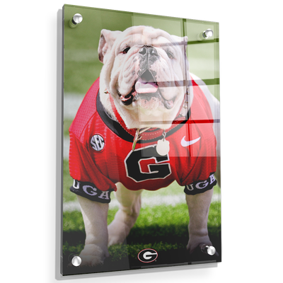 Georgia Bulldogs - Uga Poised II - College Wall Art #Acrylic