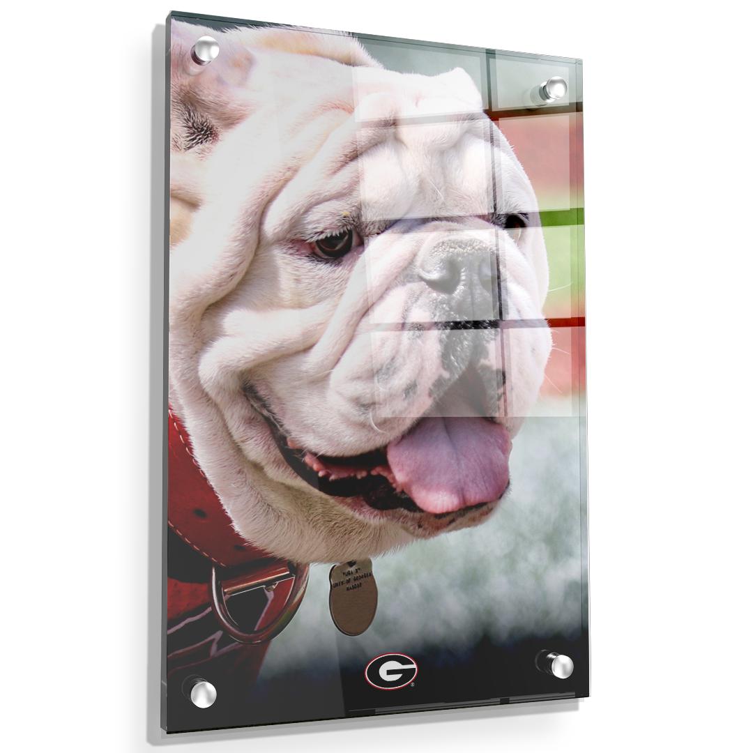 Georgia Bulldogs - Uga Portrait - College Wall Art #Canvas