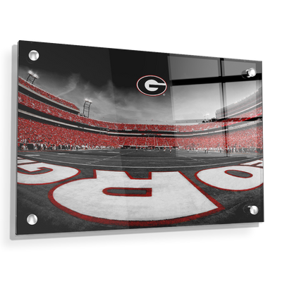 Georgia Bulldogs - Sanford Stadium End Zone Duotone - College Wall Art #Acrylic
