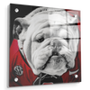 Georgia Bulldogs - Uga Close Up - College Wall Art #Acrylic