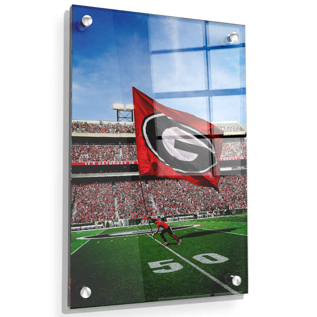 Georgia Bulldogs - The G Flag - College Wall Art #Canvas